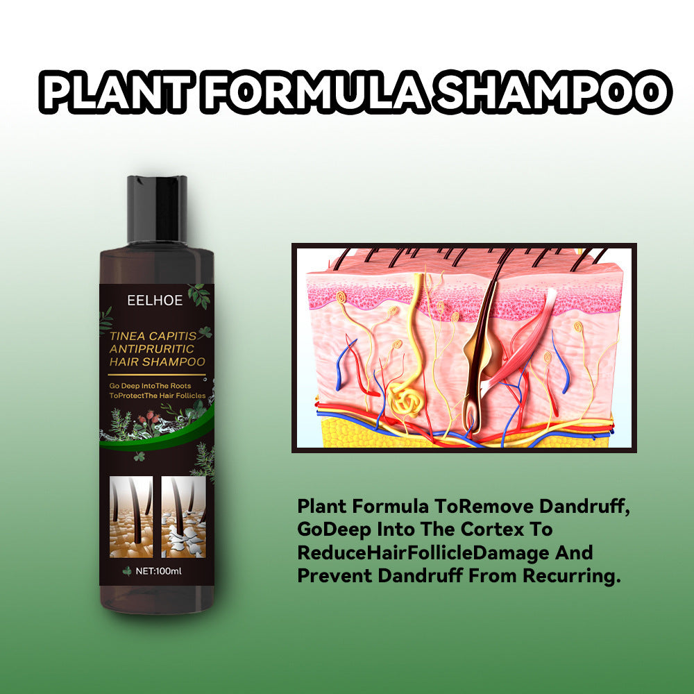 Oil Control Anti-itching Shampoo Deep Cleaning